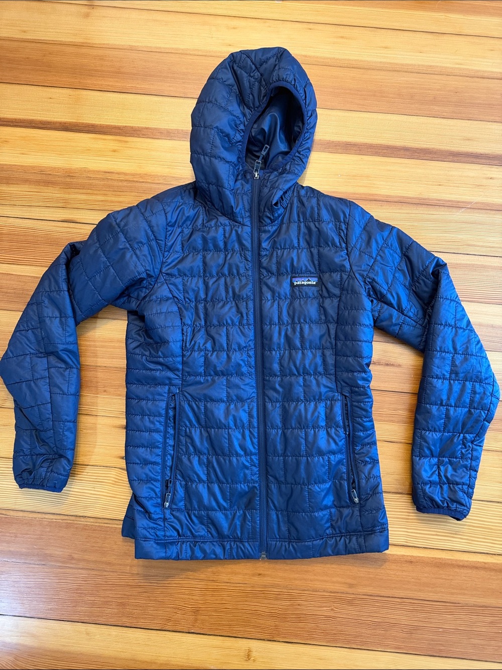 Patagonia Blue Hooded Puffer Jacket